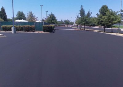 A black parking lot with trees and bushes.