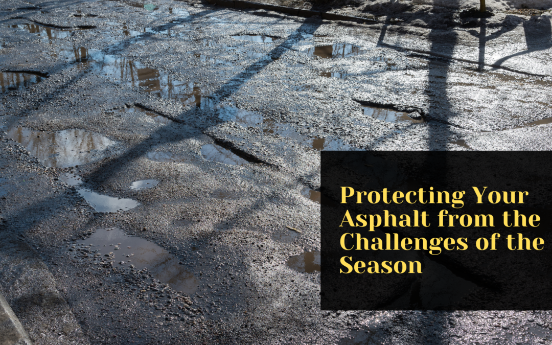 Fall Maintenance: Protecting Your Asphalt from the Challenges of the Season