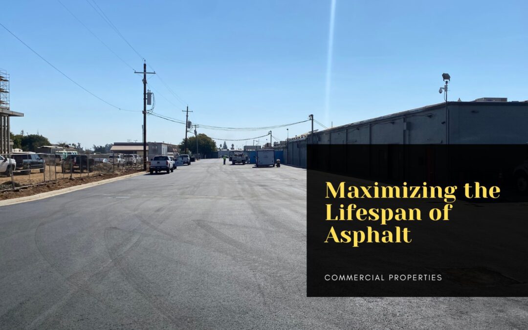 Maximizing the Lifespan of Asphalt Surfaces